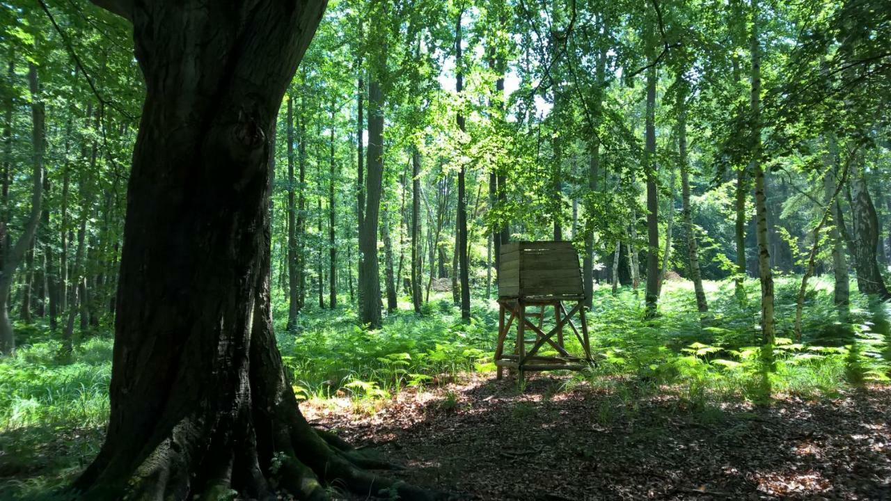 Ferienwohnung "Schonzeit" Graal-Mueritz Exterior foto